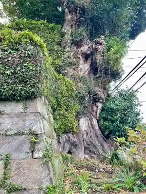 長壽寺（長寿寺）(神奈川県)