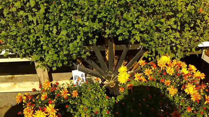 常陸第三宮 吉田神社の自然