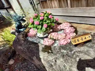 琴似神社(北海道)