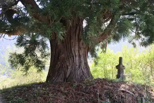 御札神社の歴史