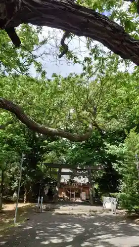 相馬神社のその他建物