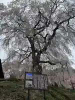 勝間薬師堂(長野県)