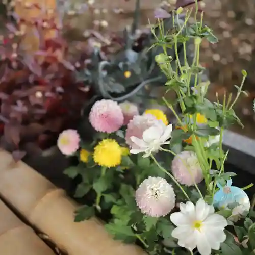 下野 星宮神社の手水舎