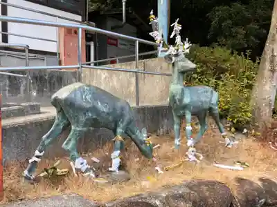 鹿嶋神社の狛犬
