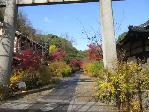 梨木神社の鳥居