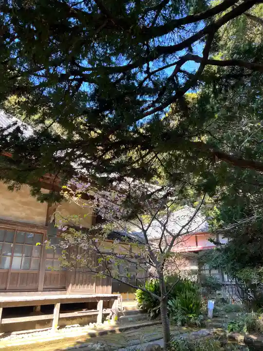 かっぱの寺 栖足寺(静岡県)