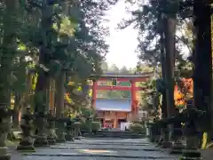 北口本宮冨士浅間神社の鳥居