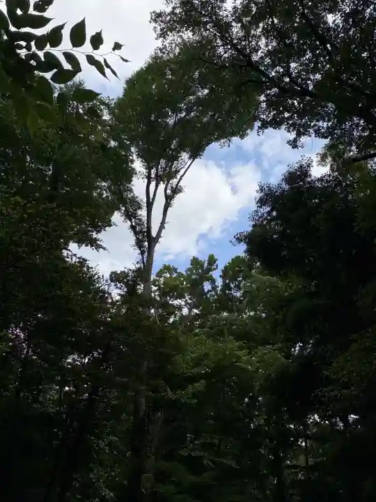 深大寺(東京都)