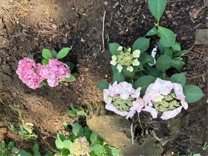 市杵島神社(高萩八幡宮境内社)(茨城県)