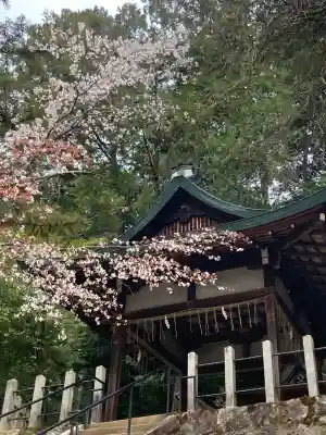 吉田神社(京都府)