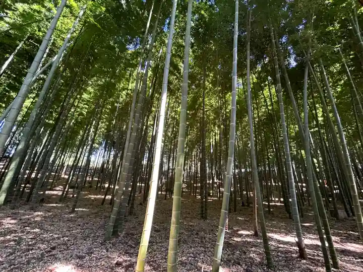 茨城縣護國神社(茨城県)
