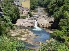 薬師如来像(愛知県)