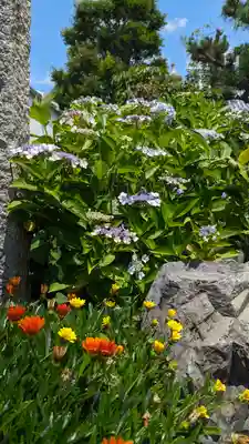 大松禅寺(京都府)