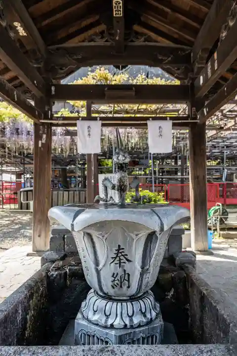 葛井寺(大阪府)