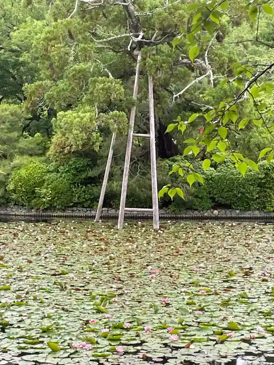 龍安寺(京都府)