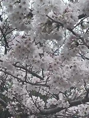 法岩院(千葉県)