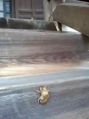 即清寺の本殿・本堂