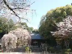 土呂八幡宮の建物その他