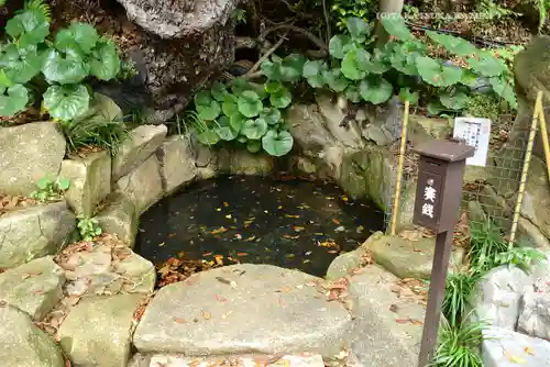 師岡熊野神社(神奈川県)