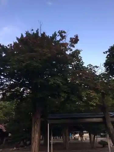 砂川神社(北海道)