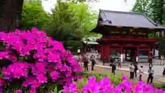 根津神社の建物その他