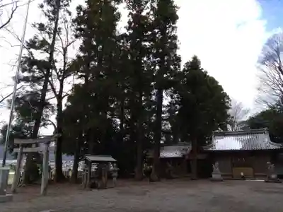 南宮御旅神社(岐阜県)