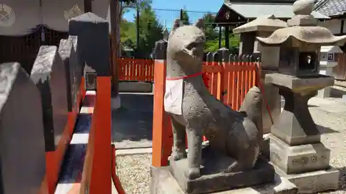 姫嶋神社の狛犬