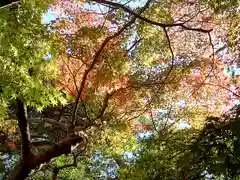 長谷寺(神奈川県)