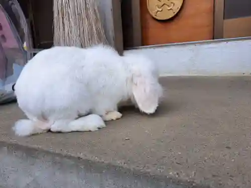 快神社(徳島県)