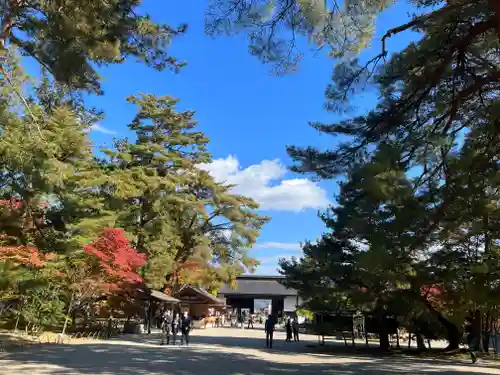 毛越寺の景色