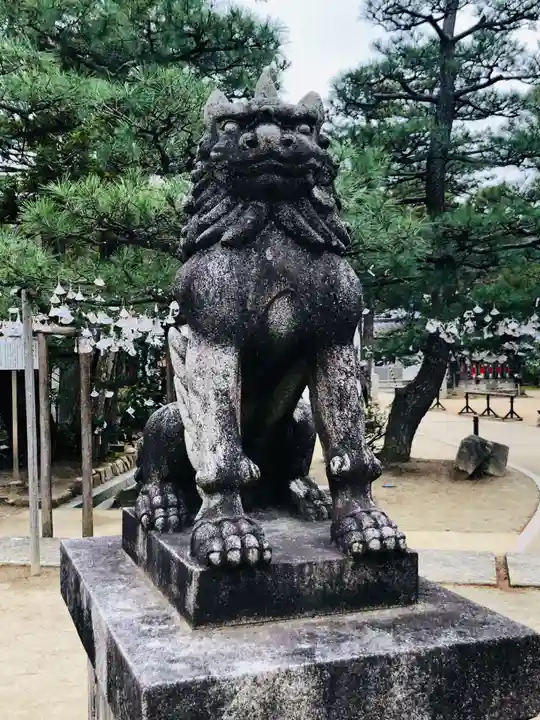 智恩寺の狛犬