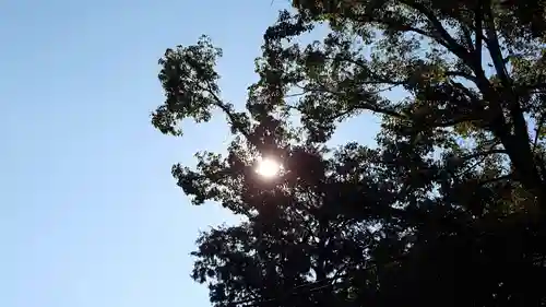 手力雄神社の自然