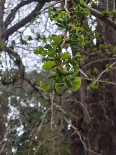 今宮神社(栃木県)