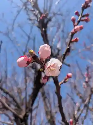 七重浜海津見神社(北海道)