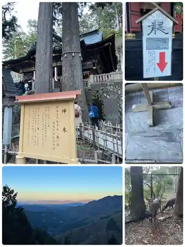 三峯神社(埼玉県)