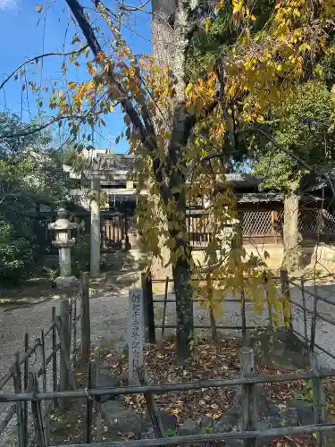 御霊神社（上御霊神社）(京都府)