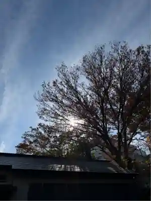 日吉神社(神奈川県)