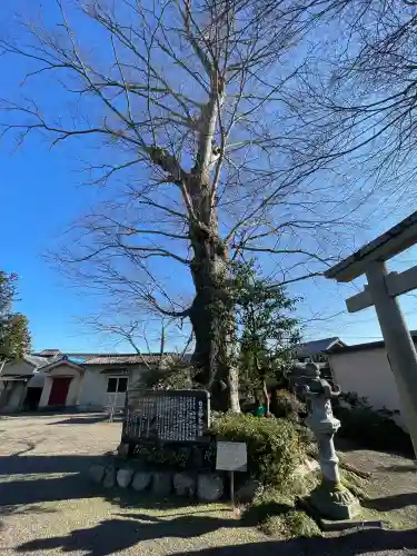 日吉神社(水口町泉)(滋賀県)