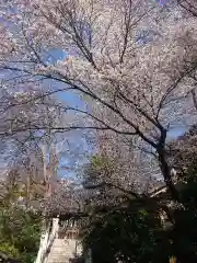 東郷神社(東京都)