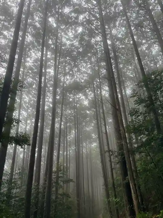 熊野本宮大社の{uncategorized: "未分類", other: "その他", undefined: "問題あり", building: "その他建物", grave: "お墓", sacred_gate: "鳥居", guardian: "狛犬", statue: "像", buddha: "仏像", history: "歴史", nature: "自然", garden: "庭園", animal: "動物", pagoda: "塔", temizu: "手水舎", mountain_gate: "山門・神門", sanctuary: "本殿・本堂", subordinate: "末社・摂社", art: "芸術", scenery: "景色", jizo: "地蔵", ema: "絵馬", goshuin: "御朱印", omikuji: "おみくじ", items: "授与品その他", amulet: "お守り", goshuincho: "御朱印帳", eats: "食事", festival: "お祭り", votive_dance: "神楽", shichigosan: "七五三参", wedding: "結婚式", experience: "体験その他", initially: "初詣", around: "周辺", anti_infection: "感染症対策"}