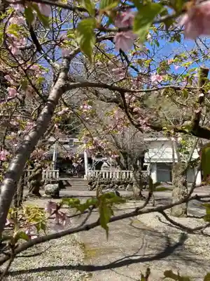 天鷹神社(岐阜県)