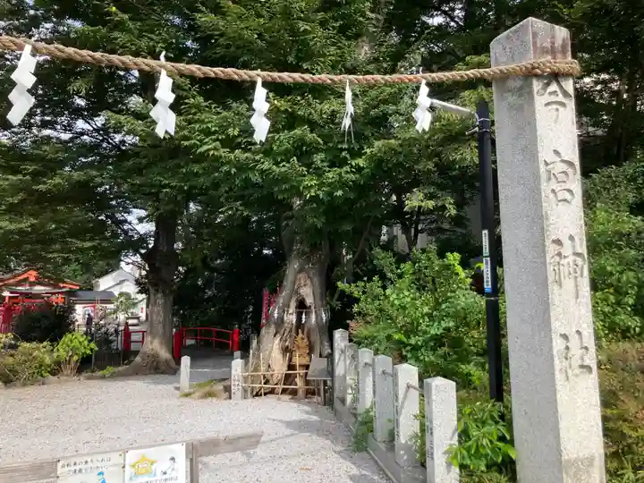 秩父今宮神社(埼玉県)