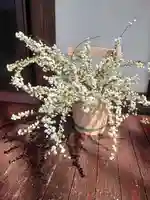 浄光寺(神奈川県)