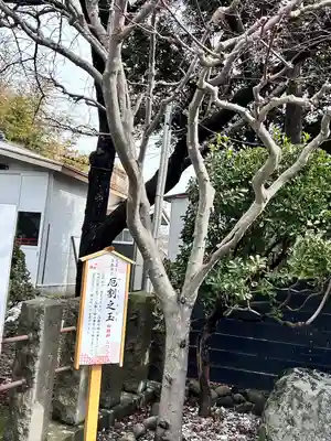 湯倉神社(北海道)