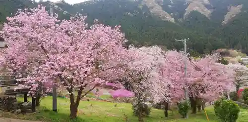 龍珠院の景色