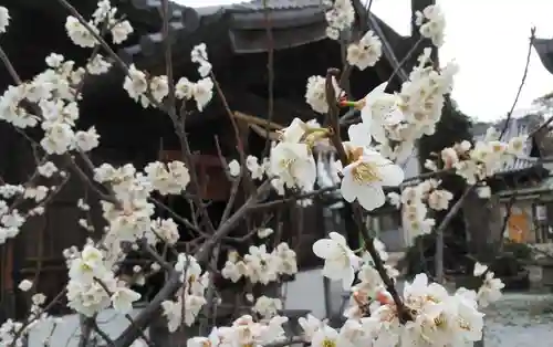 曩祖八幡宮の自然