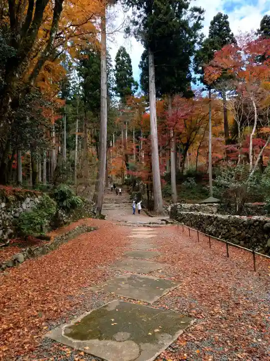 高山寺の周辺