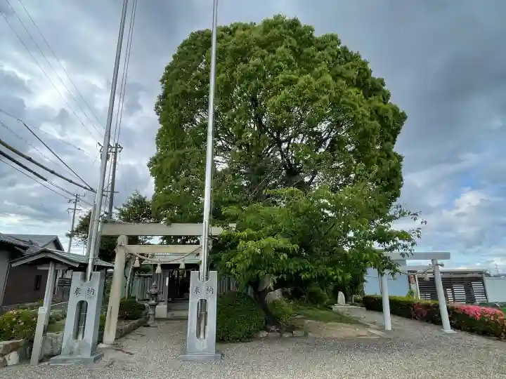 野村神社の{uncategorized: "未分類", other: "その他", undefined: "問題あり", building: "その他建物", grave: "お墓", sacred_gate: "鳥居", guardian: "狛犬", statue: "像", buddha: "仏像", history: "歴史", nature: "自然", garden: "庭園", animal: "動物", pagoda: "塔", temizu: "手水舎", mountain_gate: "山門・神門", sanctuary: "本殿・本堂", subordinate: "末社・摂社", art: "芸術", scenery: "景色", jizo: "地蔵", ema: "絵馬", goshuin: "御朱印", omikuji: "おみくじ", items: "授与品その他", amulet: "お守り", goshuincho: "御朱印帳", eats: "食事", festival: "お祭り", votive_dance: "神楽", shichigosan: "七五三参", wedding: "結婚式", experience: "体験その他", initially: "初詣", around: "周辺", anti_infection: "感染症対策"}