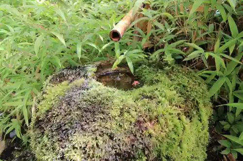 萬寿神社（柏屋本店願掛け萬寿石）(福島県)