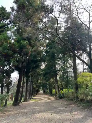 千代ケ岡八幡宮(栃木県)